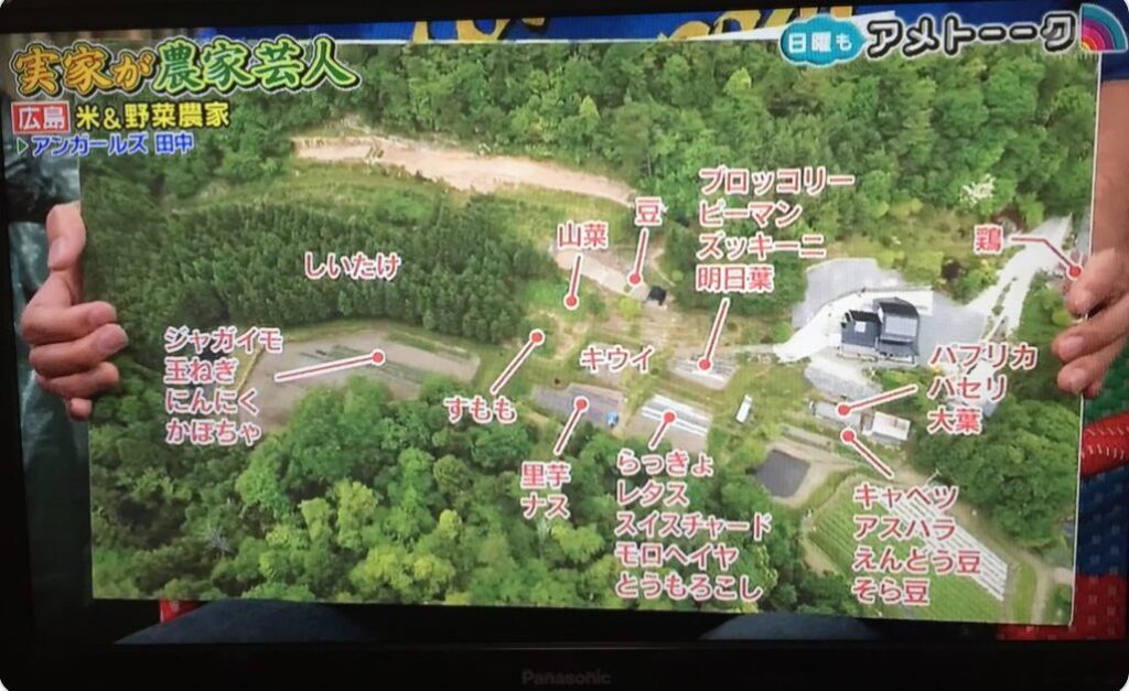 田中卓志の実家の衛星写真